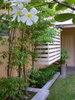 listing thumbnail image 24