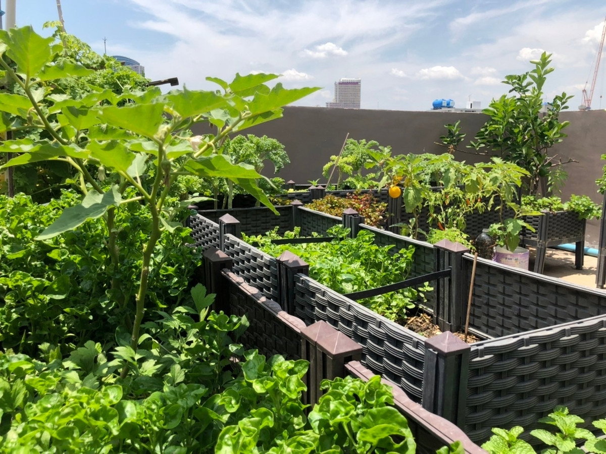 รูป เช่าตึกแถว อาคารพาณิชย์ ซอยเจริญนคร 18 - รูปที่ 27/36