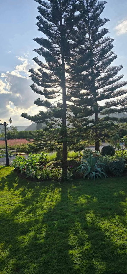 รูป ส่งต่อกิจการรีสอร์ต สไตล์อังกฤษสุดสวยโลเคชั่นที่เพียบพร้อม รีสอร์ต, Boutique Hotel, Wellness Retreat หรือ Private Residence ระดับพรีเมียม - รูปที่ 12/30