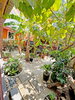 listing thumbnail image 27