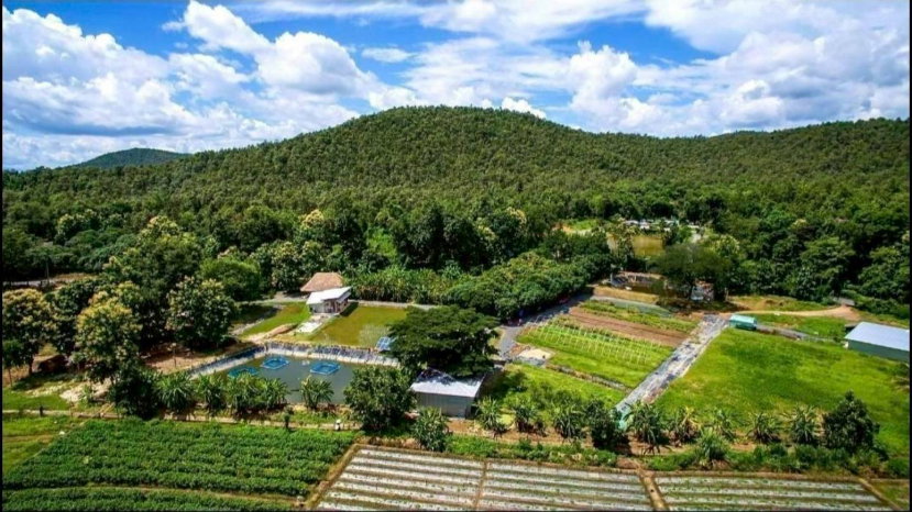 picture Farm Land for Sale in Doi Saket, Chiang Mai – Subdivision Available (Rai as shown in image) - 2/8
