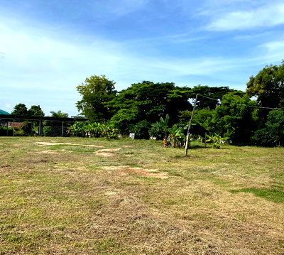 ขายที่ดิน : ขายที่ดินเปล่าถมแล้ว ขายด่วน ที่ดินถมแล้ว เป็นของญาติ ตั้งอยู่ที่ อำเภอโนนสะอาด ตำบลโนนสะอาด จังหวัดอุดรธานี  ** พื้นที่ 1 ไร่ 1 งาน 3 ตรว