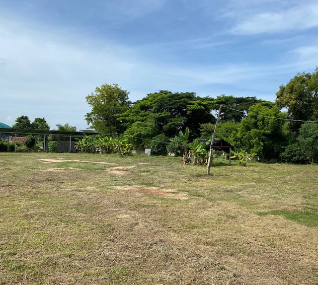 รูป ขายที่ดินเปล่าถมแล้ว ขายด่วน ที่ดินถมแล้ว เป็นของญาติ ตั้งอยู่ที่ อำเภอโนนสะอาด ตำบลโนนสะอาด จังหวัดอุดรธานี  ** พื้นที่ 1 ไร่ 1 งาน 3 ตรว - รูปที่ 1/3