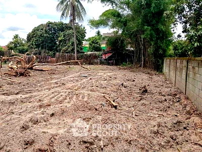 Land for sale U.S. Consulate General Chiang mai : 1,188 m² Land for Sale in Chang Khlan (ID 2820363)