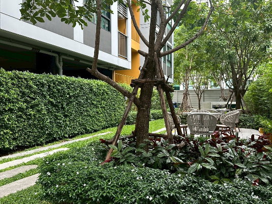 รูป ให้เช่าคอนโด เดอะมูฟบางแค ชั้น6  อาคารเอ 9,000 บาทเท่านั้น - รูปที่ 2/12