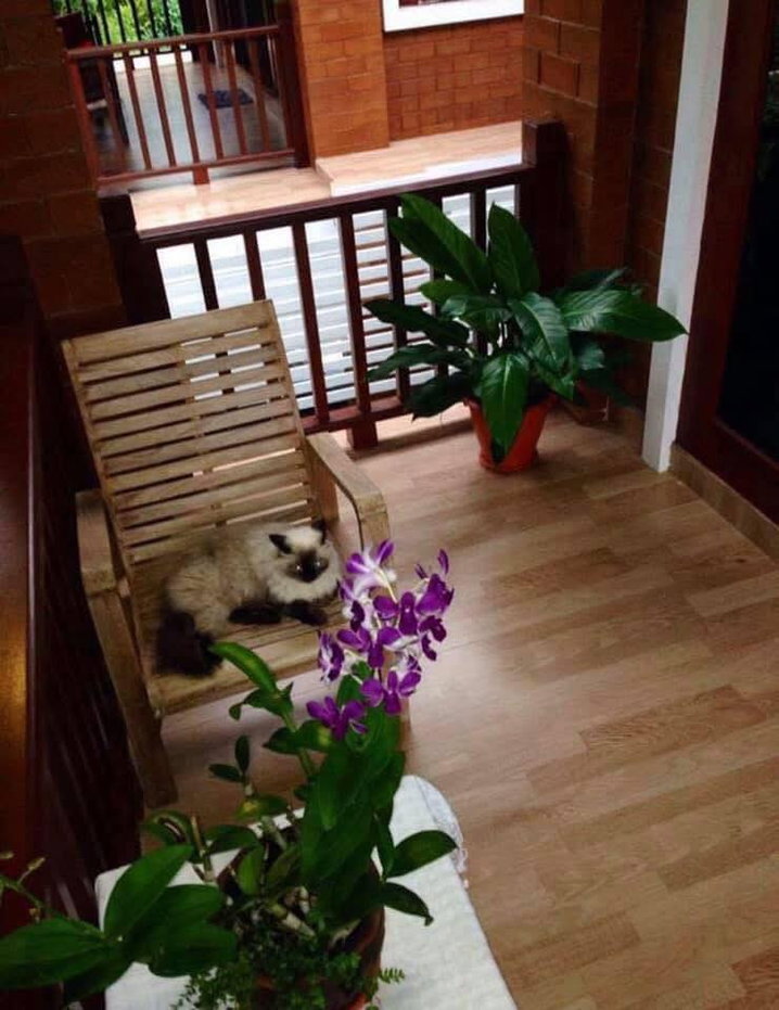 รูป ให้เช่า บ้านในโครงการบ้านวังตาล เชียงใหม่ เฟอร์นิเจอร์และเครื่องใช้ไฟฟ้าครบ พร้อมเข้าอยู่ เดินทางสะดวก-RW007893 - รูปที่ 7/18