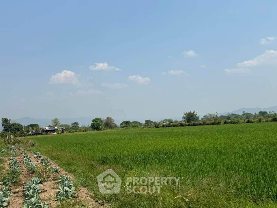 รูป ที่ดินสำหรับปล่อยขาย 5,176 ตารางเมตร แถว ใน อินทขิล (ID 2812063) - รูปที่ 4/8