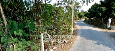 Land for sale San Pa Tong Chiang Mai : 13,864 m² Land for Sale in Ban Klang (ID 2815285)