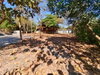listing thumbnail image 13