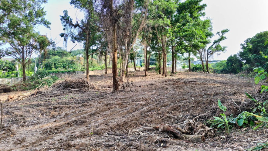 รูป ขายที่ดิน – ที่ดินผืนใหญ่ 20+ ไร่ บนเนินเขาฉลอง ติดโครงการ 88 แลนด์แอนด์เฮ้าส์ - รูปที่ 3/3