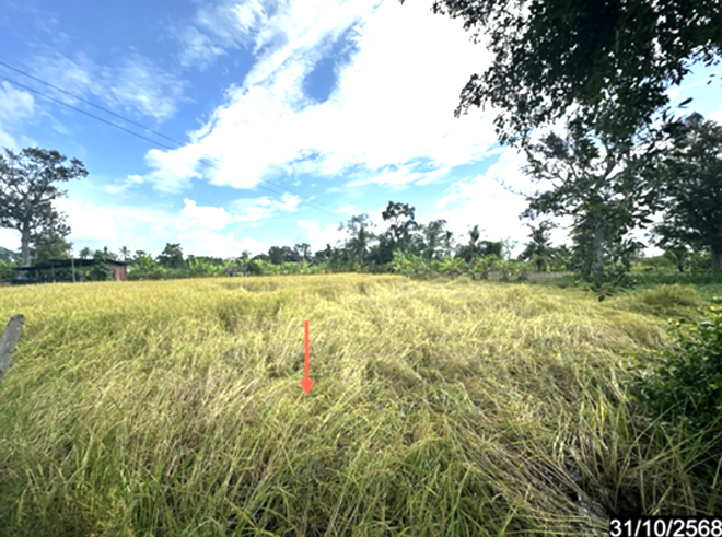 รูป ที่ดินว่างเปล่า 391 ตร.วา ราษีไศล ศรีสะเกษ 528,000 - รูปที่ 4/18