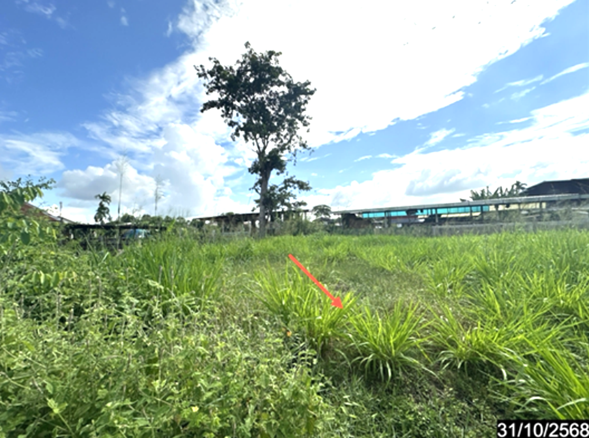 รูป ที่ดินว่างเปล่า 134 ตร.วา ราษีไศล ศรีสะเกษ 268,000 - รูปที่ 15/22