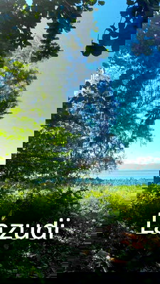 Land for sale Ko Phangan Surat Thani : Stunning Beachfront Land for Sale Koh Phangan