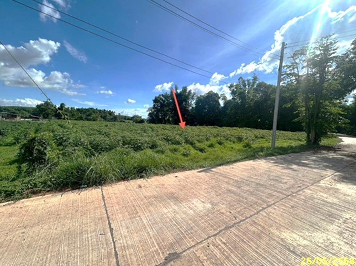 picture LAND 1646 Sq.w. Muang Muddahan Mukdahan for 1.3M - 9/14