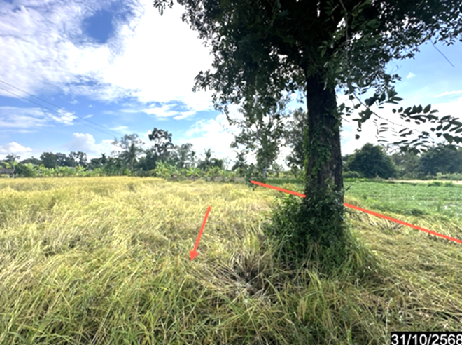 รูป ที่ดินว่างเปล่า 391 ตร.วา ราษีไศล ศรีสะเกษ 528,000 - รูปที่ 5/18