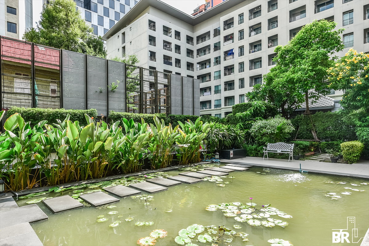 รูป เช่าคอนโด 🌃 The Seed Memories Siam 1นอน 50ตร.ม. 22k ห้องสวยเฟอร์ครบ 🛋️ ใกล้ BTS สนามกีฬาแห่งชาติ   - รูปที่ 4/5