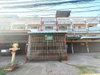 listing thumbnail image 16