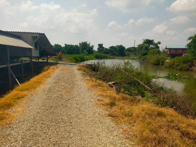 Large plot of land, 1,264 rai, for sale as a lump sum of 700 million baht. Ideal for a new city project.