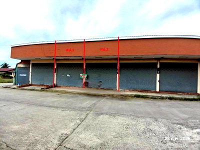 อาคารพาณิชย์ เชียงใหม่ : อาคารพาณิชย์ 32 ตร.วา สันป่าตอง เชียงใหม่ 2M