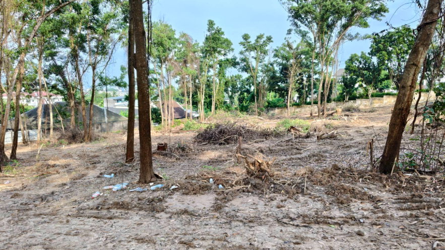 รูป ขายที่ดิน – ที่ดินผืนใหญ่ 20+ ไร่ บนเนินเขาฉลอง ติดโครงการ 88 แลนด์แอนด์เฮ้าส์ - รูปที่ 2/3