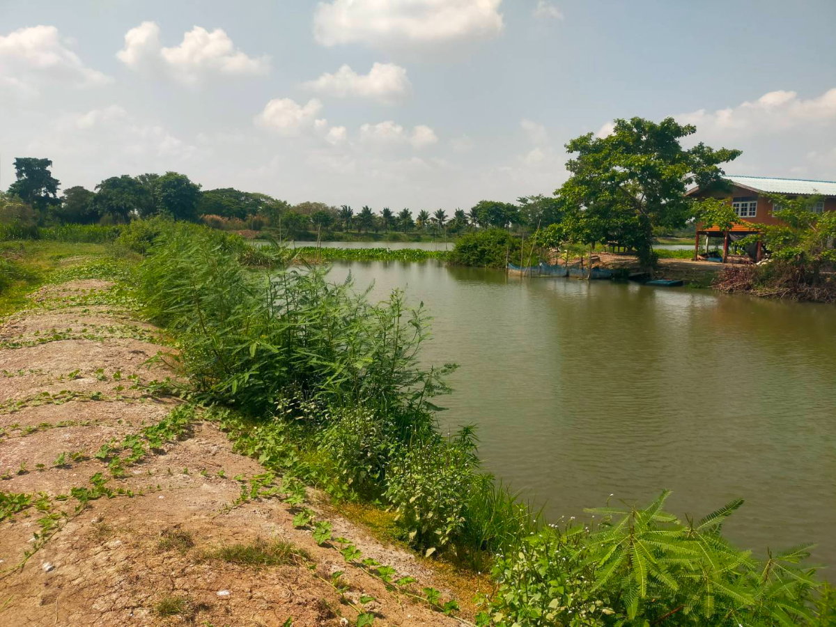 รูป ประกาศขายที่ดิน แปลงใหญ่ นครปฐม 1,264ไร่ ขายเหมามืด 700 ล้าน  เหมาะสำหรับทำโครงการเมืองใหม่ รหัส CV8 - รูปที่ 9/11