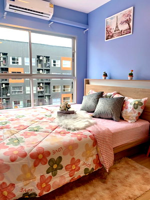 Condos for rent Khlong Luang Pathumthani :  Plum condo Rangsit Fresh for rent.