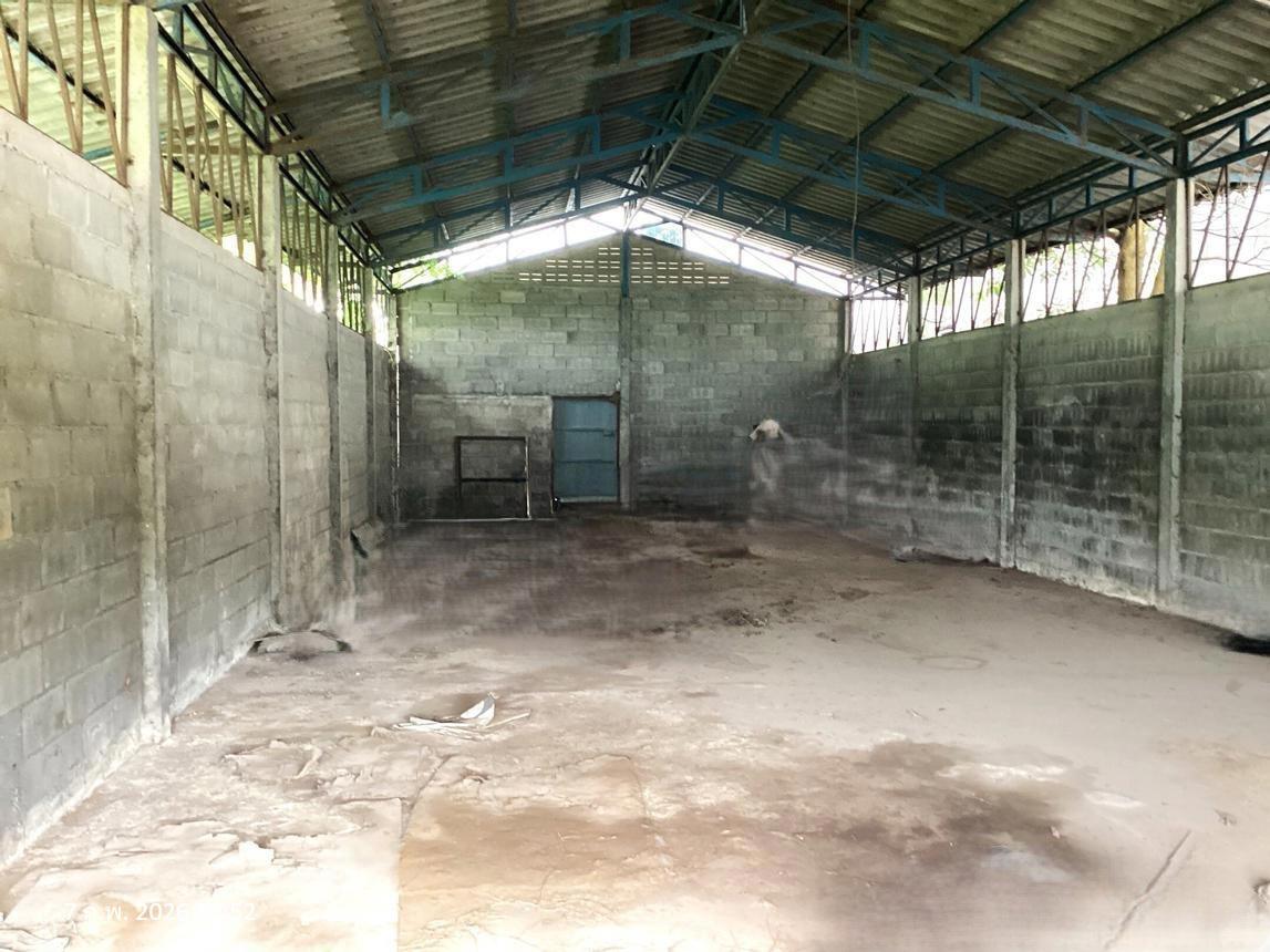 รูป อาคารพาณิชย์ 216 ตร.วา รัตภูมิ สงขลา 8.8M - รูปที่ 46/50