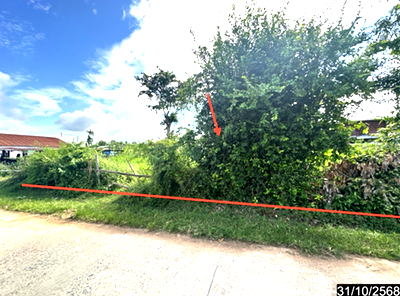 ที่ดิน ราษีไศล ศรีสะเกษ : ที่ดินว่างเปล่า 134 ตร.วา ราษีไศล ศรีสะเกษ 268,000