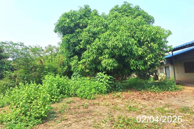 รูป บ้านเดี่ยว 364 ตร.วา ลี้ ลำพูน 938,000 - รูปที่ 17/38