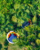 listing thumbnail image 15