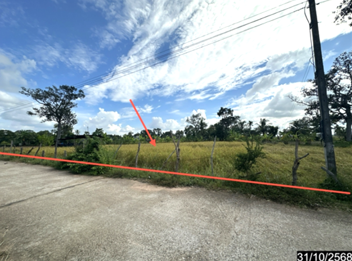 รูป ที่ดินว่างเปล่า 391 ตร.วา ราษีไศล ศรีสะเกษ 528,000 - รูปที่ 9/18