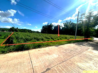 Land for sale Muang Muddahan Mukdahan : LAND 1646 Sq.w. Muang Muddahan Mukdahan for 1.3M