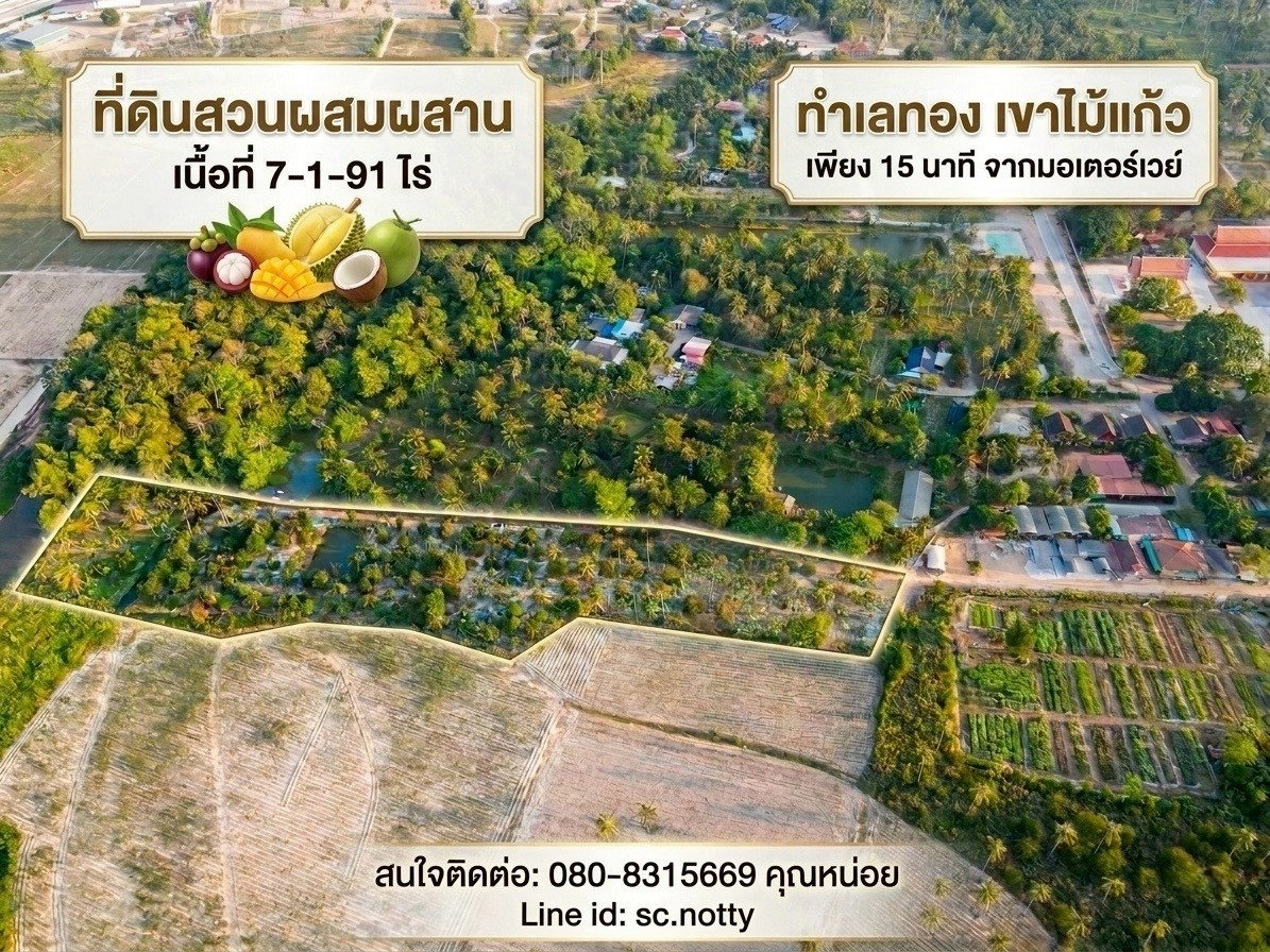 รูป  ขายที่ดินสวนผสม ทำเลทอง เขาไม้แก้ว จ.ชลบุรี 7 ไร่ 1 งาน 91 ตรว - รูปที่ 1/11