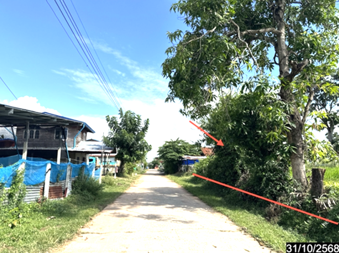 รูป ที่ดินว่างเปล่า 134 ตร.วา ราษีไศล ศรีสะเกษ 268,000 - รูปที่ 11/22