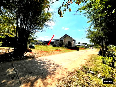 ขายบ้านเดี่ยว : บ้านเดี่ยว 800 ตร.วา ส่องดาว สกลนคร 1.6M