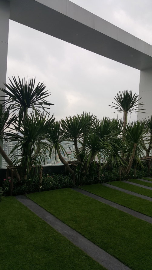 รูป Life Sukhumvit 48 (ไลฟ์ สุขุมวิท 48) (1bed1bath 40sqm) - รูปที่ 9/9