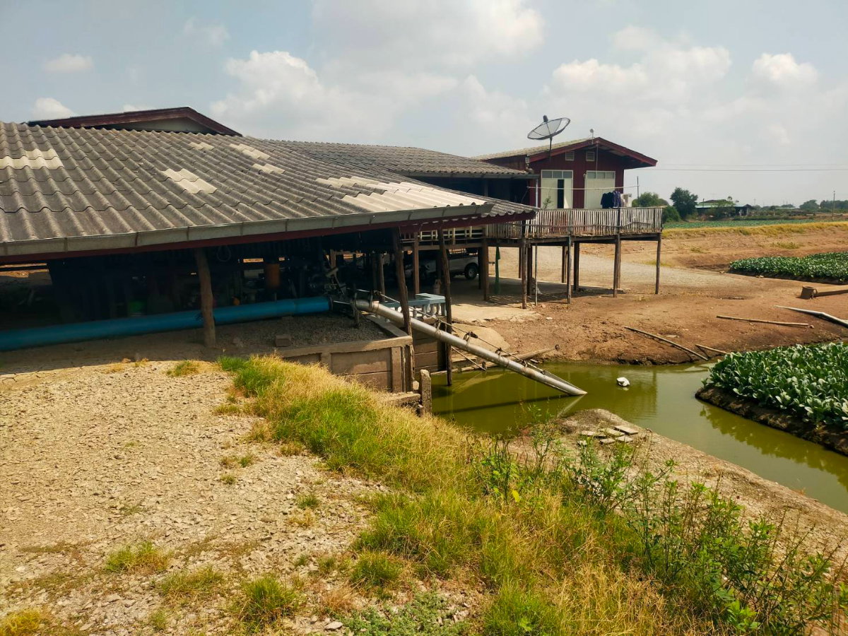 รูป ประกาศขายที่ดิน แปลงใหญ่ นครปฐม 1,264ไร่ ขายเหมามืด 700 ล้าน  เหมาะสำหรับทำโครงการเมืองใหม่ รหัส CV8 - รูปที่ 7/11