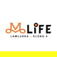 project-m-life-lamlukka-klong-4--a1c508ed-image-alt