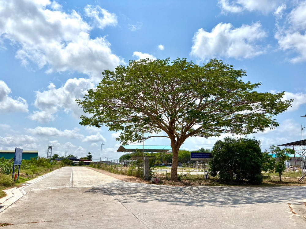 รูป Call : 098-887-8949 ขายที่ดินถนนหลังวัดมาบตาพุด (ซอยลุงอ๋อง ตรงข้ามตลาดนิวนอมอล) เมืองระยอง JAMJUREE BIZ PARK - รูปที่ 9/12
