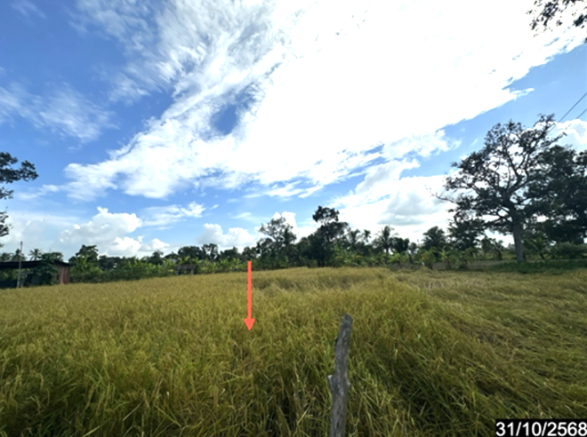 รูป ที่ดินว่างเปล่า 391 ตร.วา ราษีไศล ศรีสะเกษ 528,000 - รูปที่ 7/18