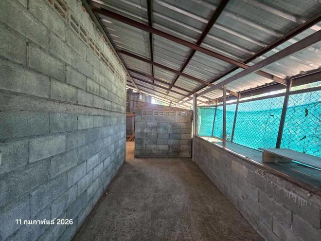 รูป บ้านเดี่ยว 127.2 ตร.วา เมืองตาก ตาก 672,000 - รูปที่ 12/32