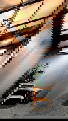 บ้านเดี่ยวให้เช่า : พลีโน่ สุขุมวิท บางนา 3 แต่งครบทั้งหลัง ส่วนกลางสวย พร้อมเข้าอยู่