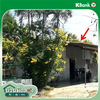 listing thumbnail image 11