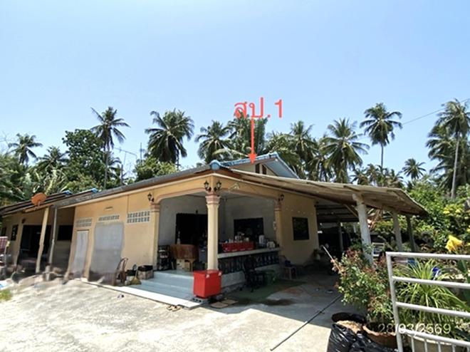 รูป บ้านเดี่ยว 91 ตร.วา สิชล นครศรีธรรมราช 1.5M - รูปที่ 2/14