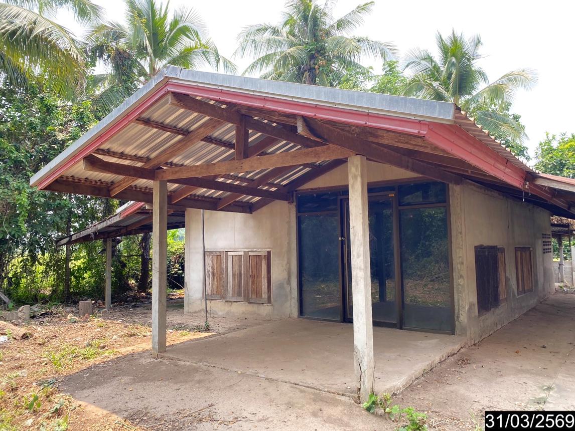 รูป บ้านเดี่ยว 135 ตร.วา โพนพิสัย หนองคาย 928,000 - รูปที่ 11/24