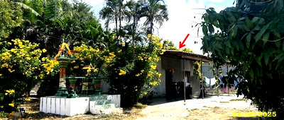 บ้านเดี่ยว กาญจนบุรี : บ้านเดี่ยว 200 ตร.วา ท่าม่วง กาญจนบุรี 1.2M