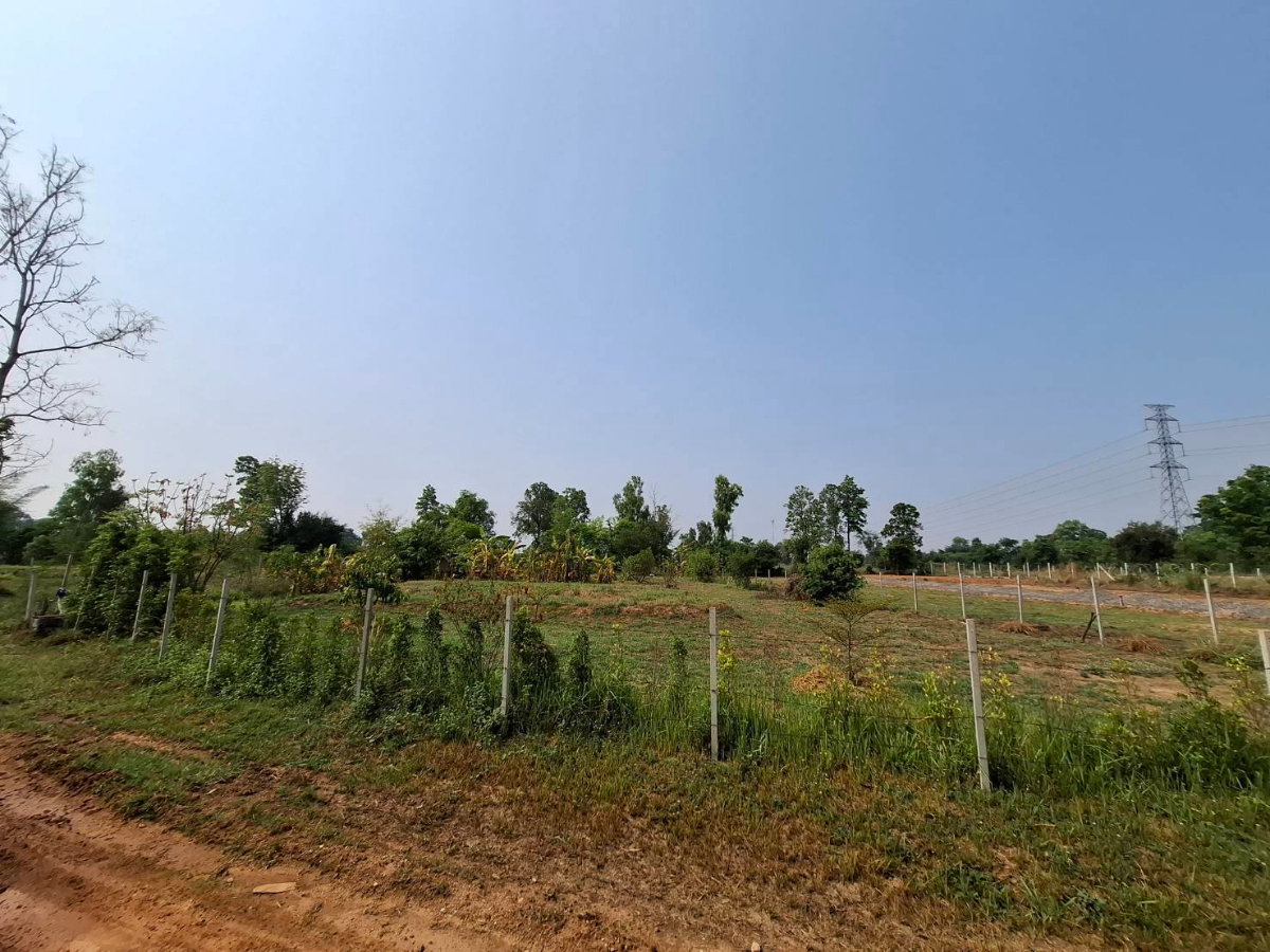 รูป ขายที่ดินด่วน! 1 ไร่ ห่างจากมข.เพียง 16 กม. บ้านวังตอ ต.บ้านค้อ อ.เมือง จ.ขอนแก่น - รูปที่ 8/14