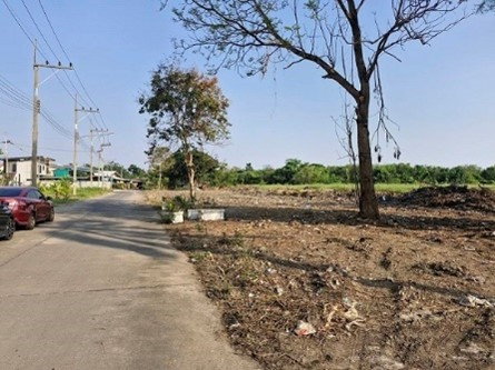 รูป ขายที่ดินเปล่า ใกล้แยกต่างระดับนครชัยศรี - รูปที่ 2/5