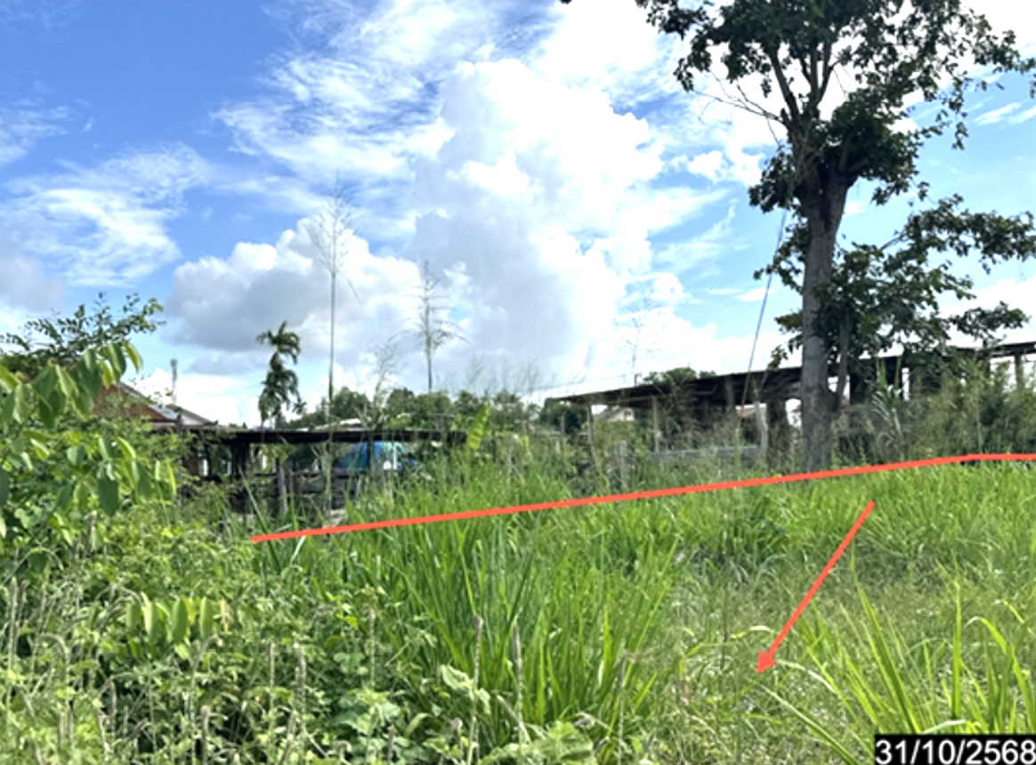รูป ที่ดินว่างเปล่า 134 ตร.วา ราษีไศล ศรีสะเกษ 268,000 - รูปที่ 13/22