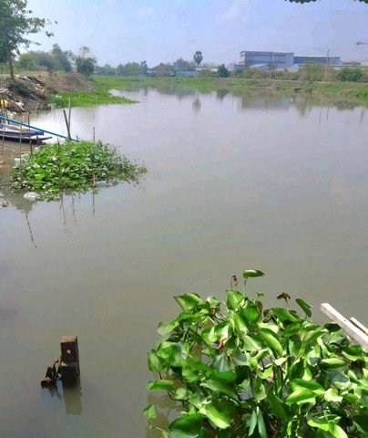 picture FOR RENT  HOUSE PROPERTY  14000 BAHT per MONTH - 13/22